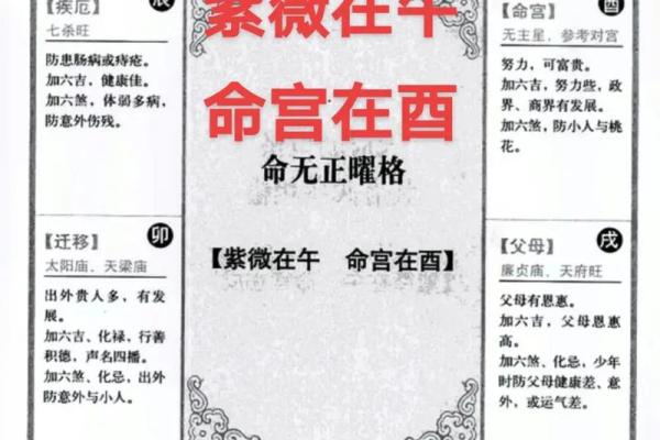 网盘紫薇斗数