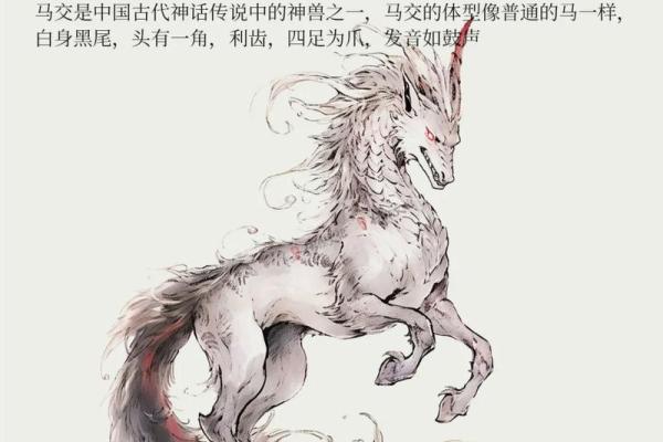 山海经：古代十大离奇算命故事