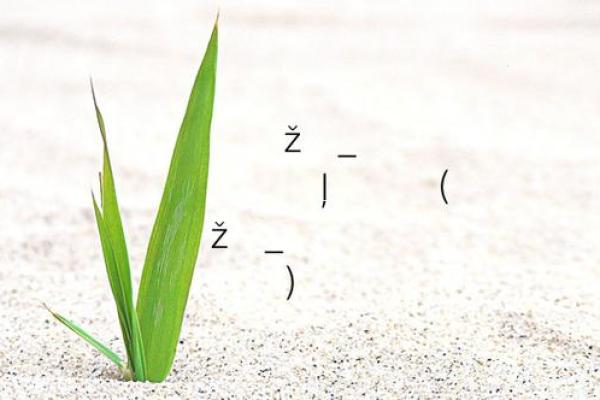 黄大仙灵签93签财运