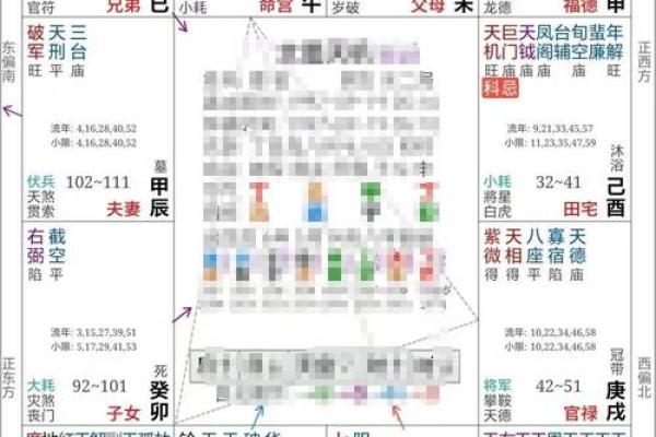 双星紫薇斗数