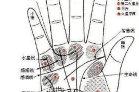 手相风水：生命线与智慧线相交的六个特点