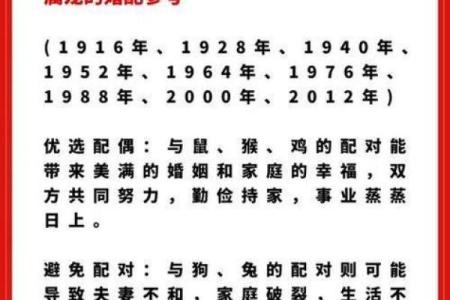 龙跟什么生肖配对最好 生肖龙最佳配对
