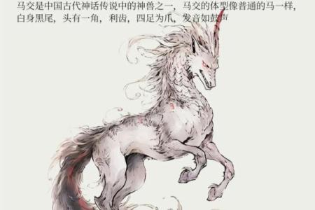 山海经：古代十大离奇算命故事