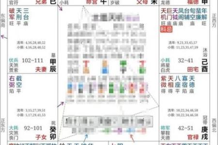 双星紫薇斗数