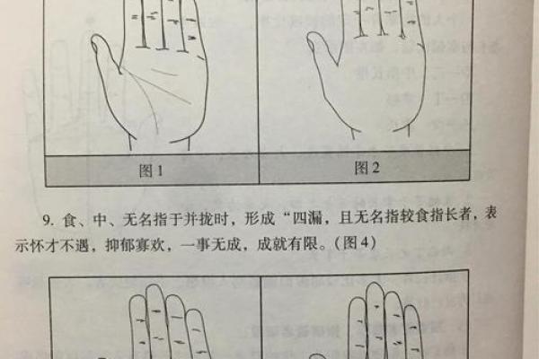 《手相学习百科》：认识双手