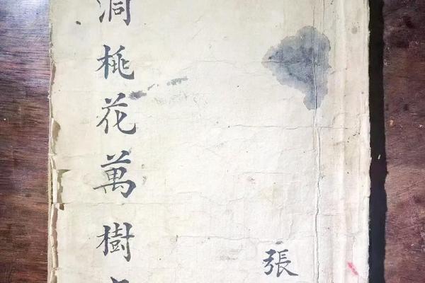清代写本算命书