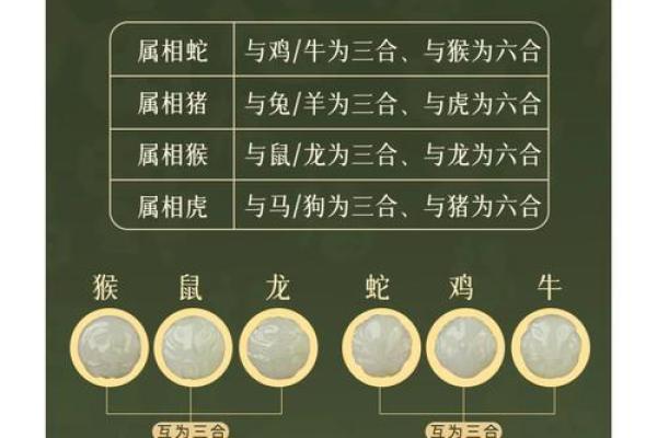 风水观点什么属相不适合戴玉石