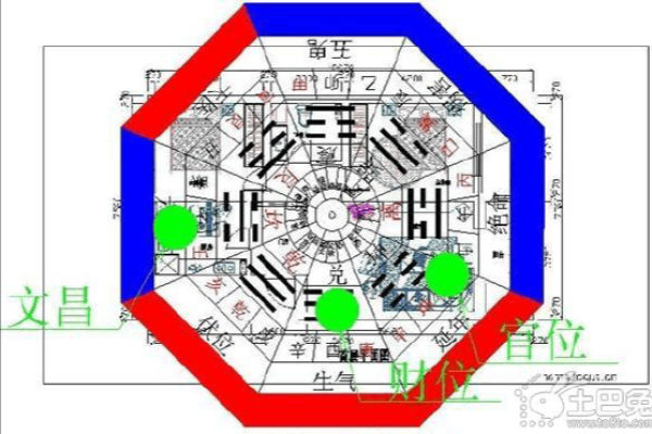 乌龟找财位,乌龟放在哪个方位旺财