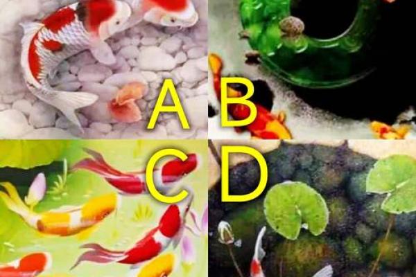 塔罗测试：活捉锦鲤！好运究竟离你有多远？
