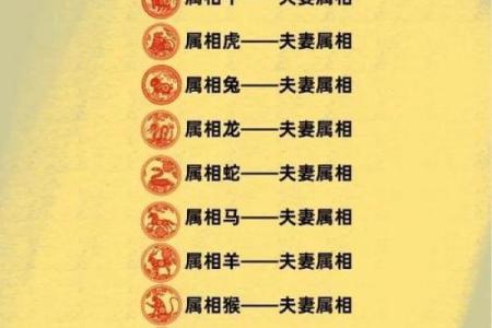 属龙女跟什么属相最配对