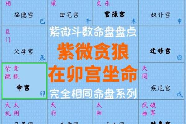 紫薇斗数命盘带帝旺是什么意思