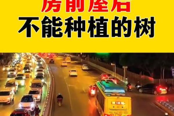 房子周围栽树风水