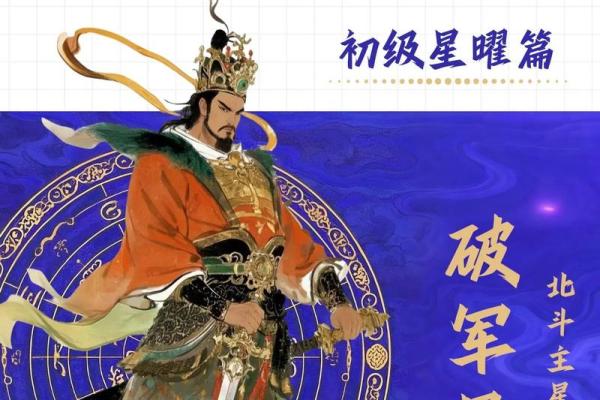 军师府紫薇斗数高级