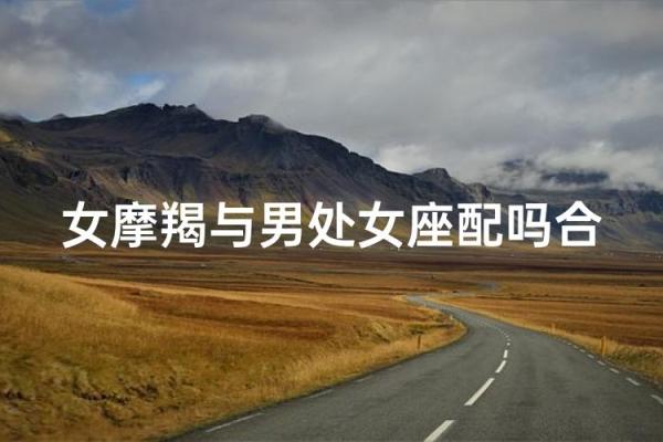 摩羯座女生处女座男生配对怎么样