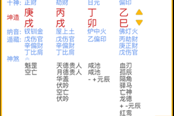 八字排盘免费算命程序