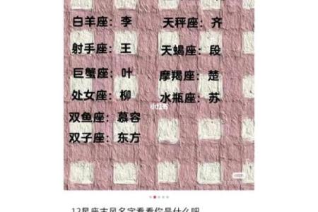 12星座的前世是刺客吗