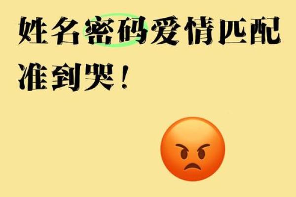 手机号码姓名配对 手机号与名字配对免费？