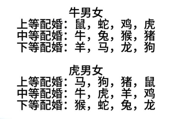 1991年属什么生肖配对女 1991年属什么生肖配对最好命