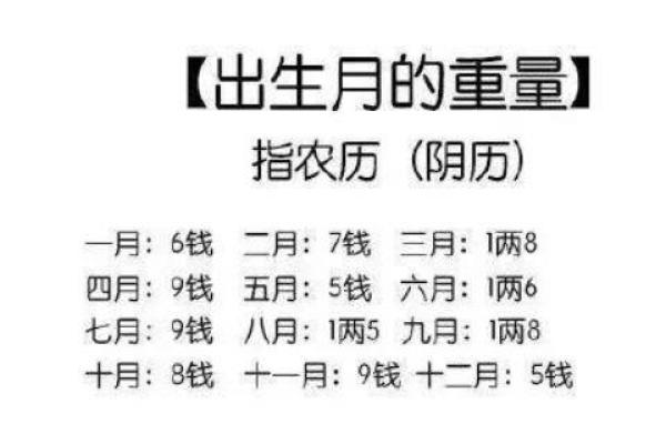 命运树算命