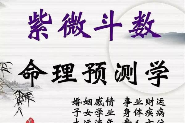 紫薇斗数的神奇