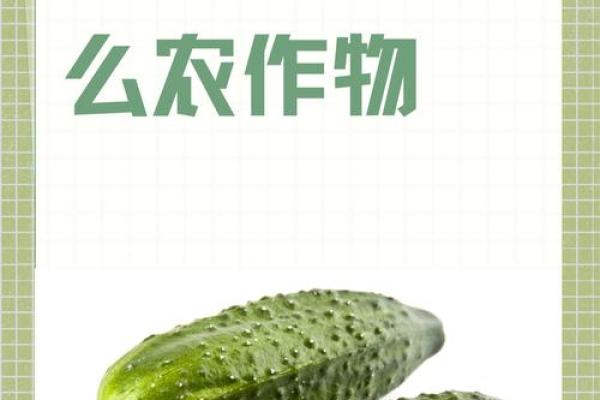 谷雨有什么民俗 谷雨的四言绝句