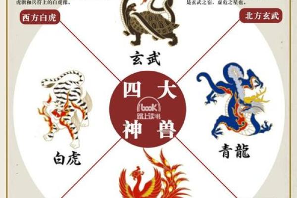 算命青龙什么意思
