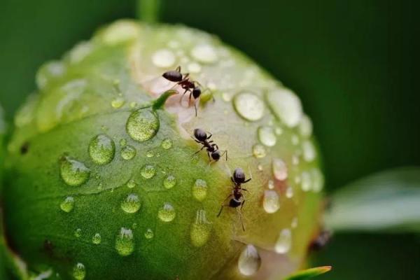 解读下雨天搬家好不好风水会有影响吗