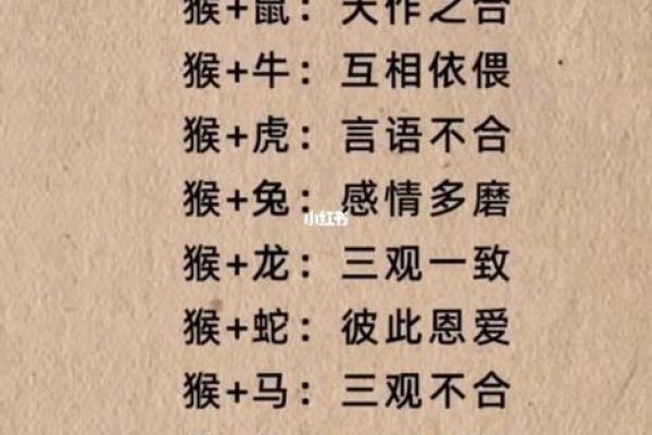 生肖配对：属马的和什么属相最配
