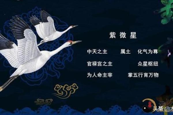 紫薇斗数蜚廉星