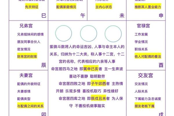 紫薇斗数免费入门