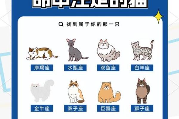 12星座适合当什么官的
