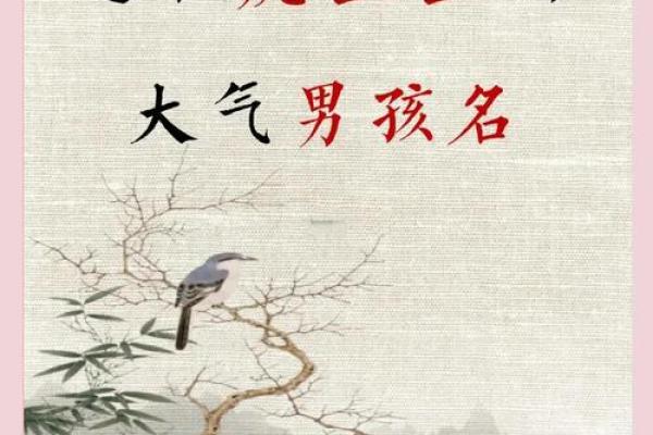 下午5点出生的属虎男孩如何起名，宜用什么字姓名
