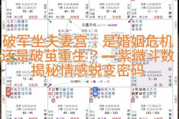 紫微斗数交友宫详解  紫微斗数交友宫看人缘