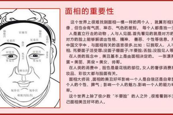 面相算命，让你分钟看透一个人