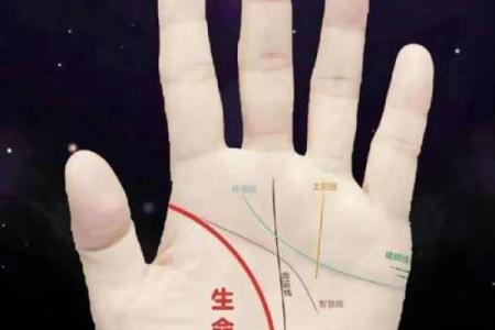 《手相学习百科》：生命线