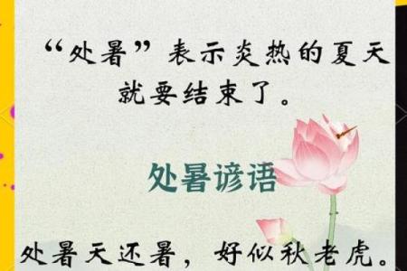 处暑节气前后的民俗是什么 注意食补有方法
