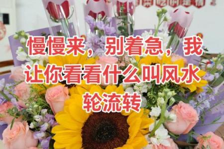 是风水轮流转