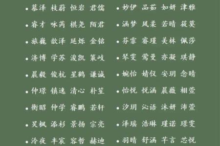 2019年4月22号寅时出生的男孩起名方法姓名