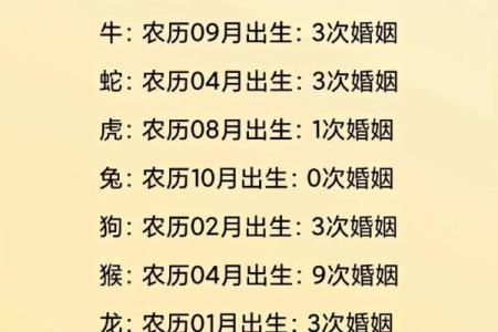 免费算命自己的姻缘