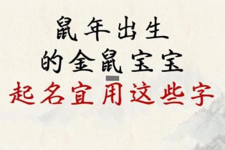 什么字适合给晚上11点出生的属鼠男孩起名姓名