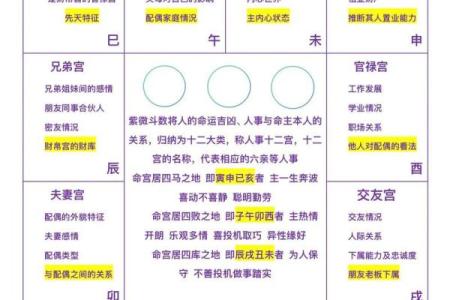 紫薇斗数免费入门