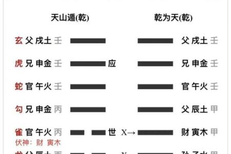 六爻数字算命准吗