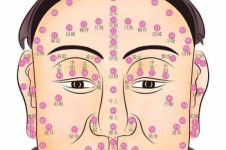 面相算命，让你分钟看透一个人
