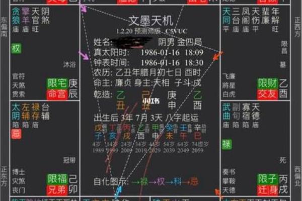 紫薇斗数新浪博客