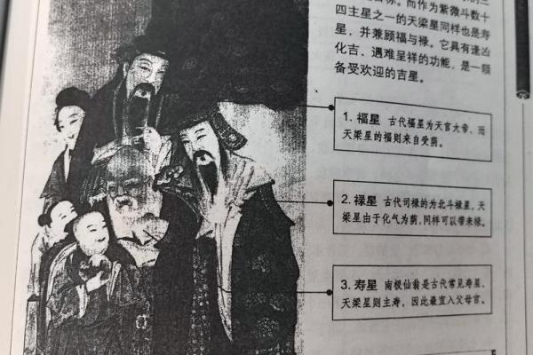 紫微斗数与四柱八字共参 紫微斗数与四柱八字共参
