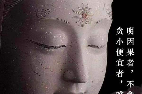 信佛者不可信算命
