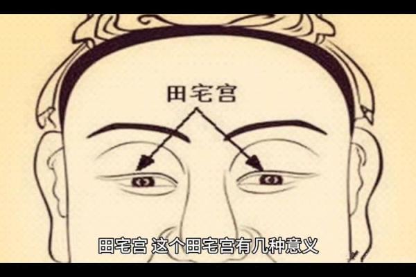 紫薇斗数大田宅
