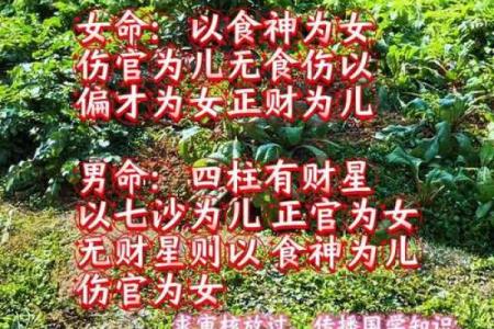 童子命算不准 , 最准的童子命排盘速查
