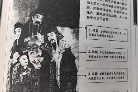 紫微斗数与四柱八字共参