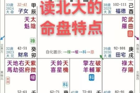 流年紫微斗数 流年紫微斗数星盘如何解析？